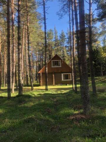 Фото номера Дом с 2 спальнями Дома для отпуска Meelste majad Tahkuna г. Tahkuna 19